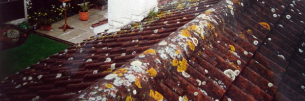 Roofing
