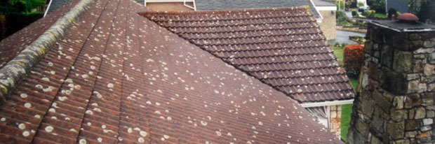 Roofing